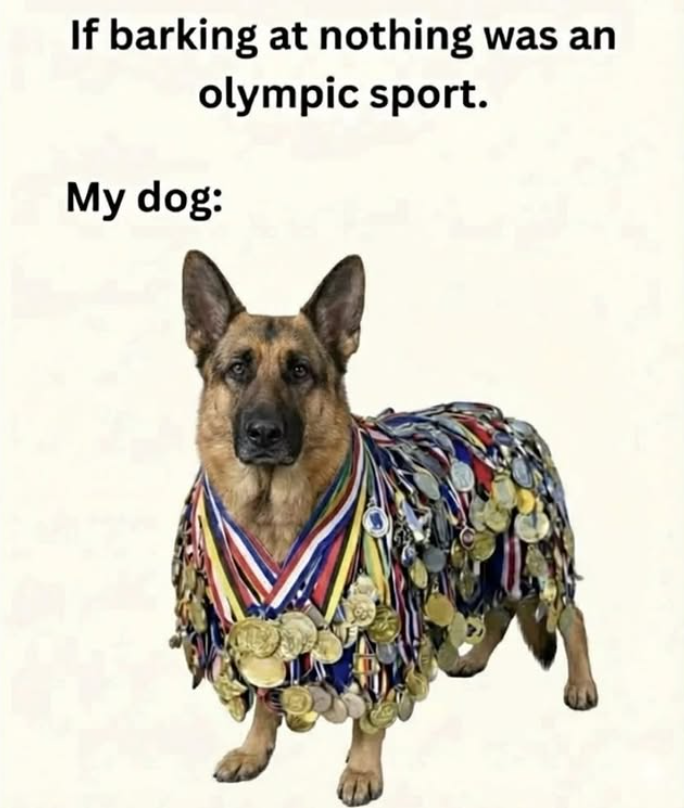 If barking at nothing was an olympic sport. My dog: