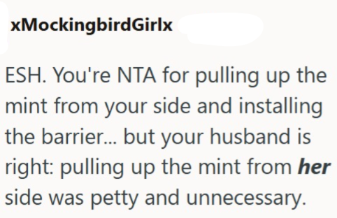 xMockingbirdGirlx ESH. You're NTA for pulling up the mint from your side and installing the barrier... but your husband is right: pulling up the mint from her side was petty and unnecessary.