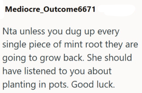 Mediocre_Outcome6671 Nta unless you dug up every single piece of mint root they are going to grow back. She should have listened to you about planting in pots. Good luck.