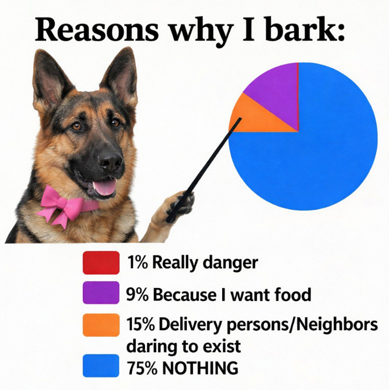 Reasons why I bark: 1% Really danger 9% Because I want food 15% Delivery persons/Neighbors daring to exist 75% NOTHING