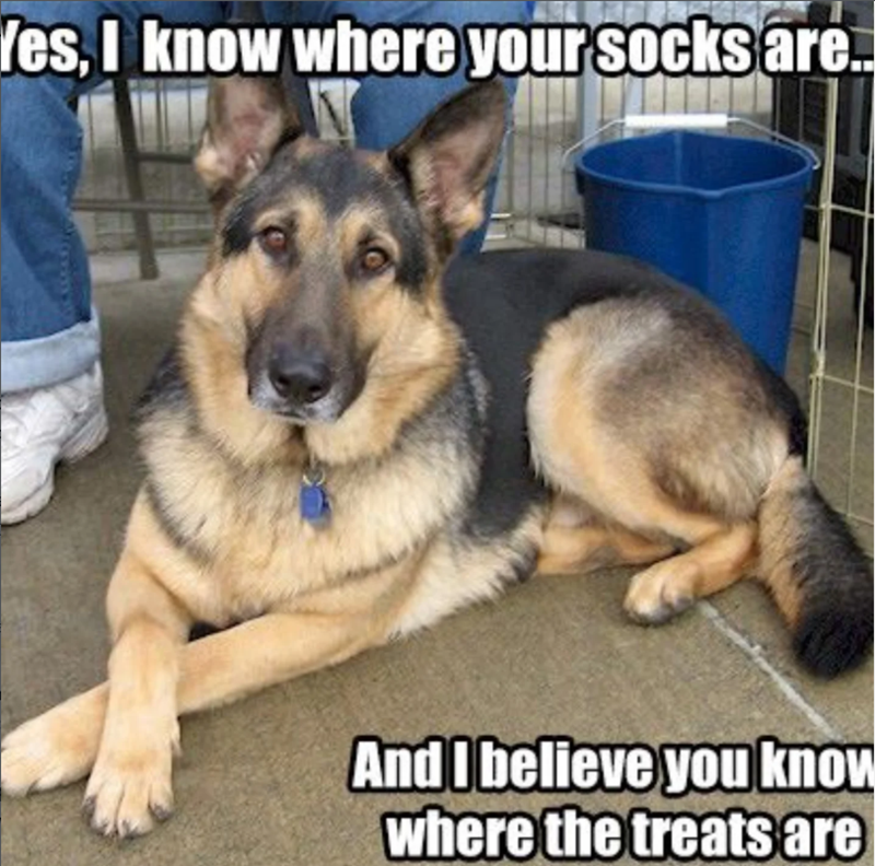 Yes, I know where your socks are.. And I believe you know where the treats are