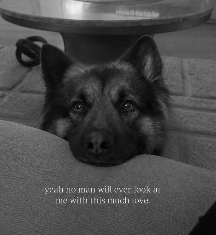 yeah no man will ever look at me with this much love.