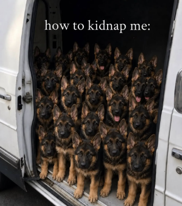 how to kidnap me: