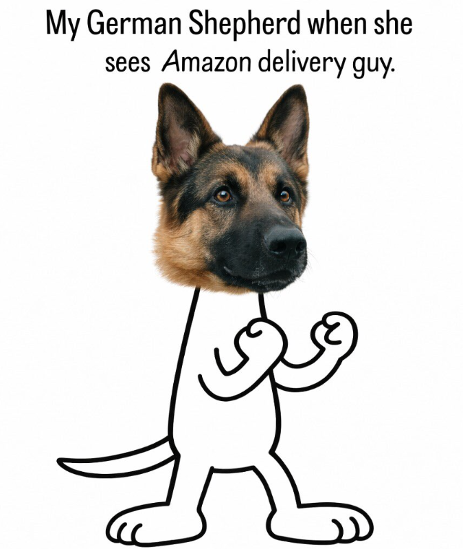 My German Shepherd when she sees Amazon delivery guy. C