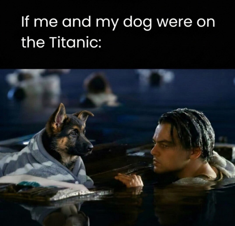 If me and my dog were on the Titanic:
