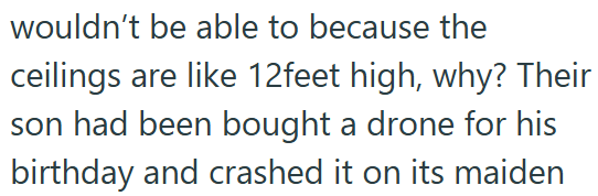 wouldn't be able to because the ceilings are like 12feet high, why? Their son had been bought a drone for his birthday and crashed it on its maiden