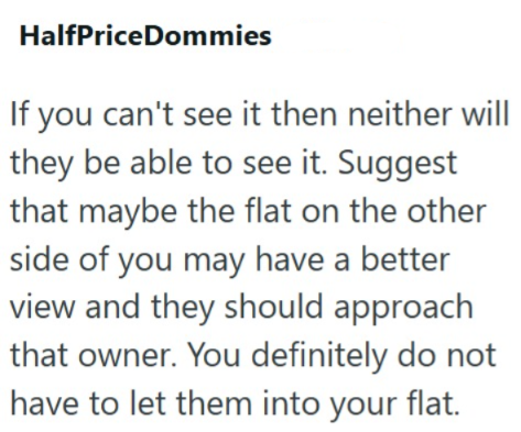 HalfPriceDommies If you can't see it then neither will they be able to see it. Suggest that maybe the flat on the other side of you may have a better view and they should approach that owner. You definitely do not have to let them into your flat.