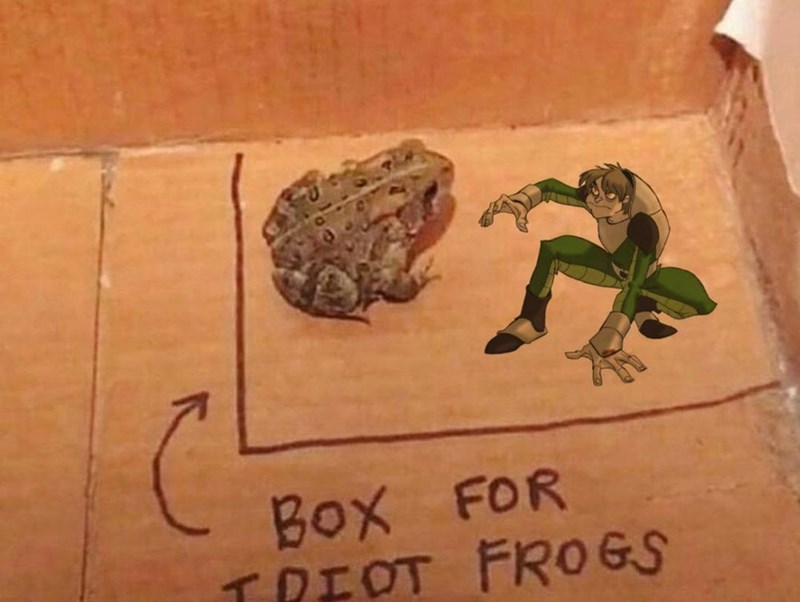 BOX FOR TDIOT FROGS