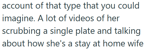 account of that type that you could imagine. A lot of videos of her scrubbing a single plate and talking about how she's a stay at home wife