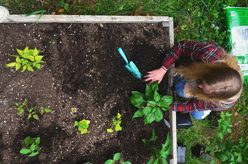 Neighbor kneeling while tending plants in a shared outdoor garden.
