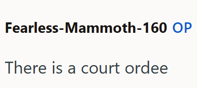 Fearless-Mammoth-160 OP There is a court ordee