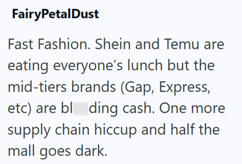 FairyPetalDust Fast Fashion. Shein and Temu are eating everyone's lunch but the mid-tiers brands (Gap, Express, etc) are bl ding cash. One more supply chain hiccup and half the mall goes dark.