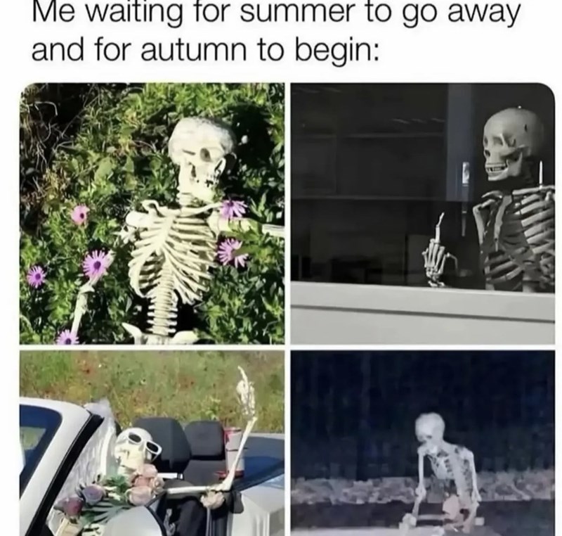 Me waiting for summer to go away and for autumn to begin: