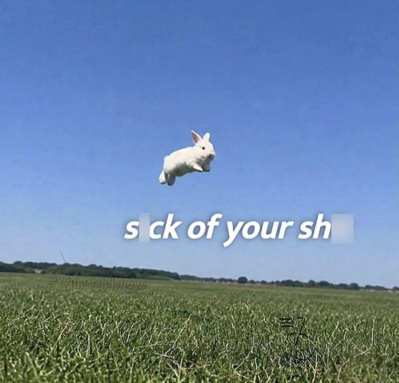 s ck of your sh @venerealdisneys