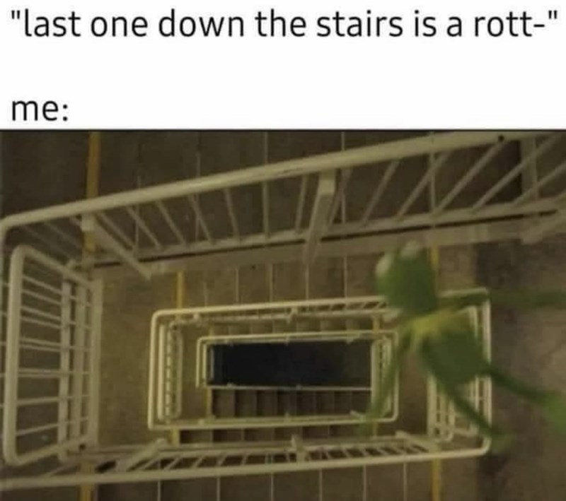 "last one down the stairs is a rott-" me: