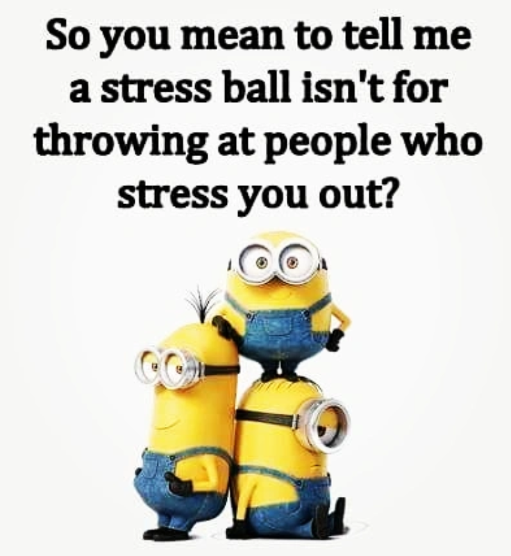 So you mean to tell me a stress ball isn't for throwing at people who stress you out?