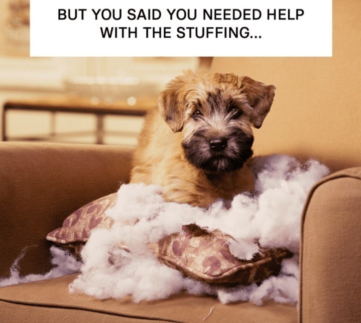 BUT YOU SAID YOU NEEDED HELP WITH THE STUFFING...