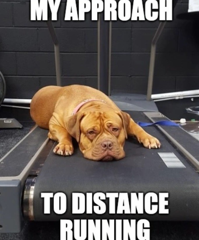 MY APPROACH TO DISTANCE RUNNING