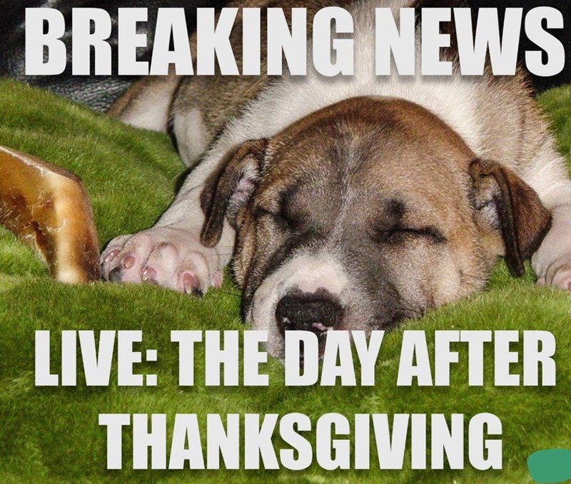 BREAKING NEWS LIVE: THE DAY AFTER THANKSGIVING