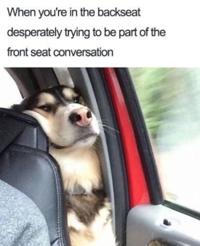 When you're in the backseat desperately trying to be part of the front seat conversation
