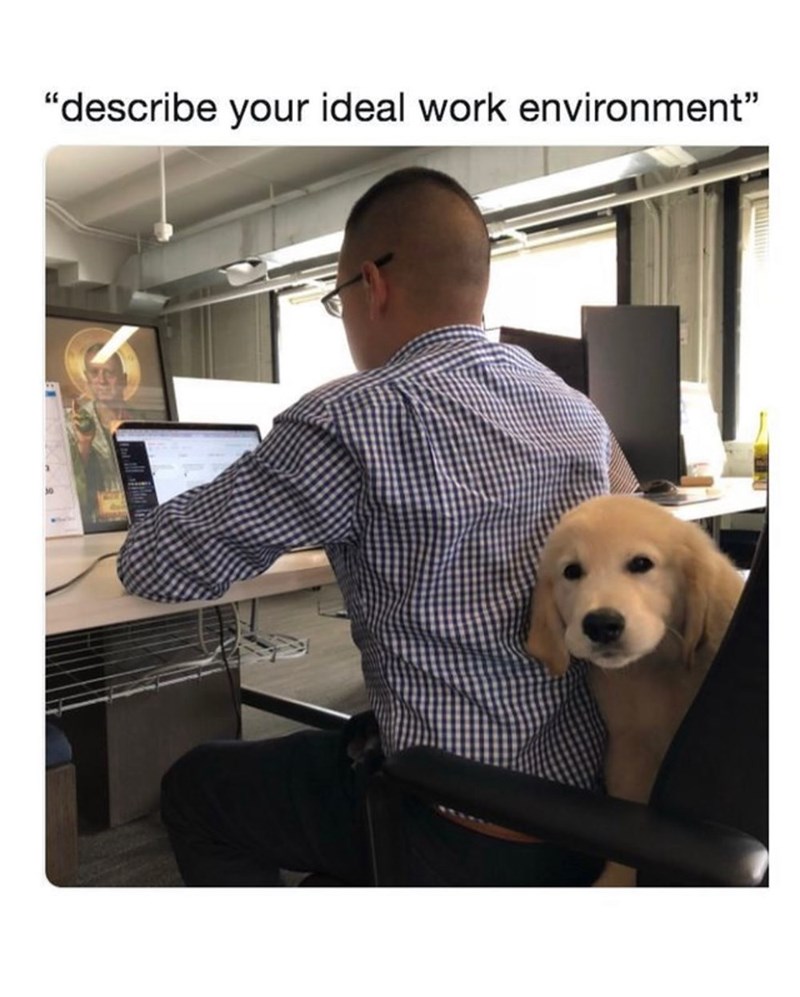 "describe your ideal work environment"