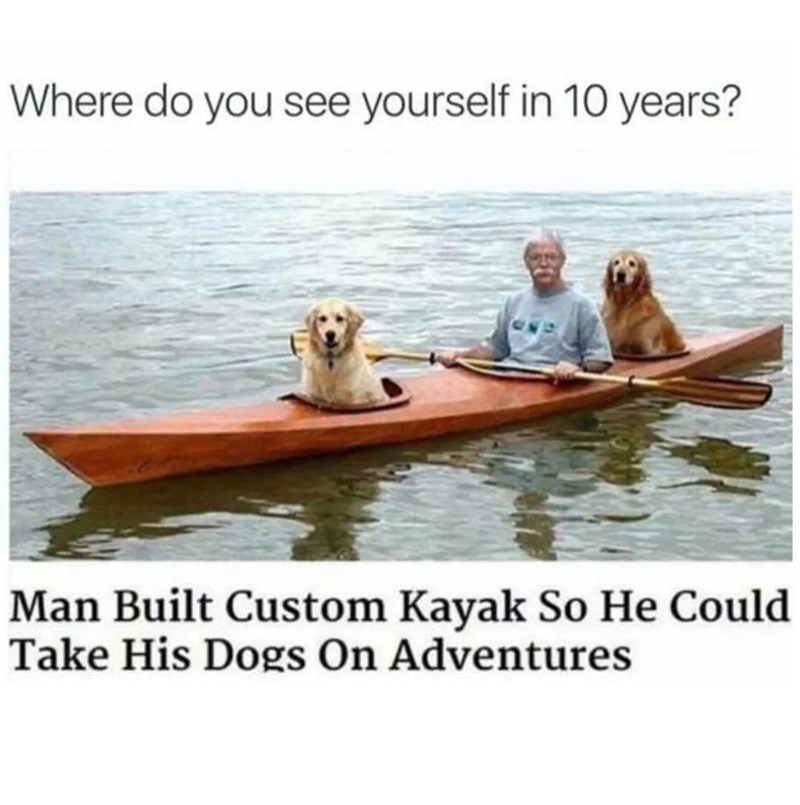 Where do you see yourself in 10 years? Man Built Custom Kayak So He Could Take His Dogs On Adventures