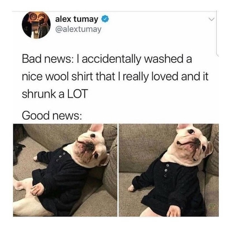 alex tumay @alextumay Bad news: I accidentally washed a nice wool shirt that I really loved and it shrunk a LOT Good news: