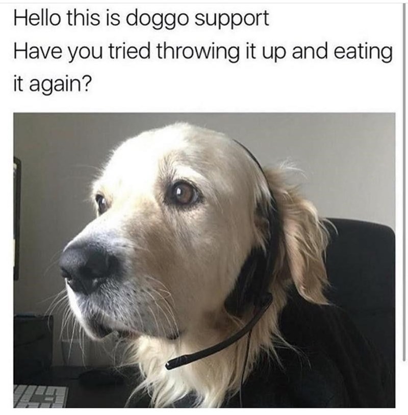 Hello this is doggo support Have you tried throwing it up and eating it again?