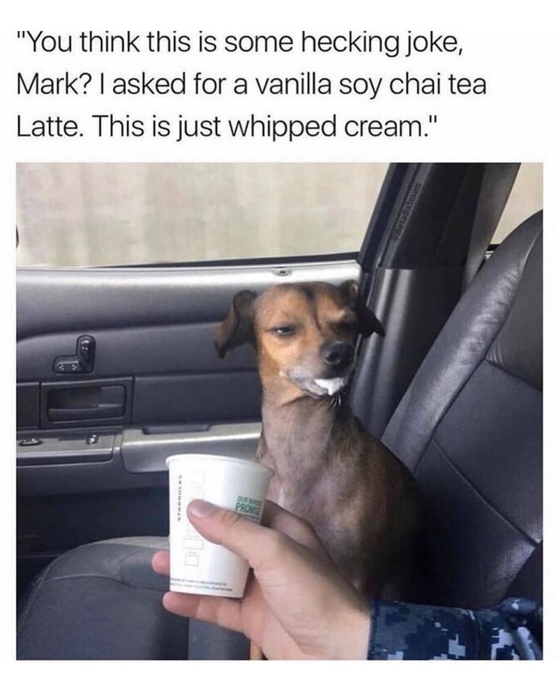 "You think this is some hecking joke, Mark? I asked for a vanilla soy chai tea Latte. This is just whipped cream." 10 OUR BARCE PROMISE