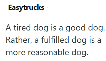 Easytrucks A tired dog is a good dog. Rather, a fulfilled dog is a more reasonable dog.