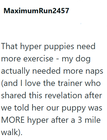 MaximumRun2457 That hyper puppies need more exercise - my dog actually needed more naps (and I love the trainer who shared this revelation after we told her our puppy was MORE hyper after a 3 mile walk).
