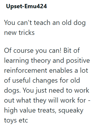Upset-Emu424 You can't teach an old dog new tricks Of course you can! Bit of learning theory and positive reinforcement enables a lot of useful changes for old dogs. You just need to work out what they will work for - high value treats, squeaky toys etc