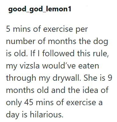 good_god_lemon1 5 mins of exercise per number of months the dog is old. If I followed this rule, my vizsla would've eaten through my drywall. She is 9 months old and the idea of only 45 mins of exercise a day is hilarious.