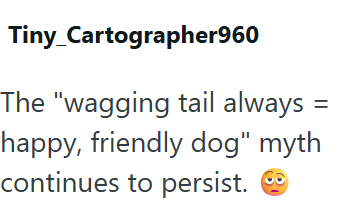 Tiny Cartographer960 = The "wagging tail always happy, friendly dog" myth continues to persist.