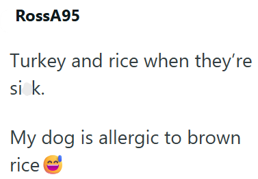 RossA95 Turkey and rice when they're sick. My dog is allergic to brown rice
