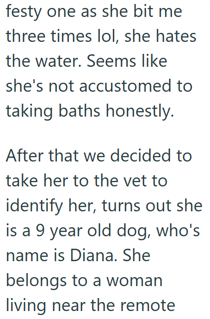 festy one as she bit me three times lol, she hates the water. Seems like she's not accustomed to taking baths honestly. After that we decided to take her to the vet to identify her, turns out she is a 9 year old dog, who's name is Diana. She belongs to a woman living near the remote