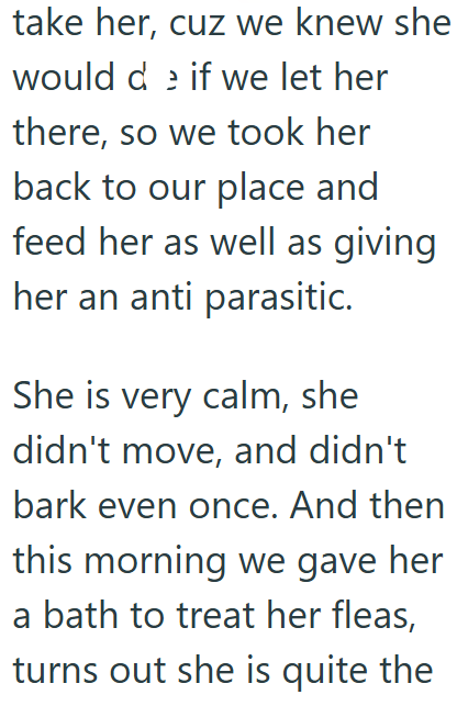 take her, cuz we knew she would de if we let her there, so we took her back to our place and feed her as well as giving her an anti parasitic. She is very calm, she didn't move, and didn't bark even once. And then this morning we gave her a bath to treat her fleas, turns out she is quite the