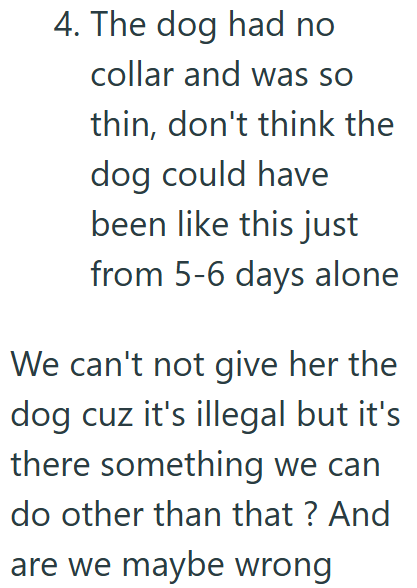4. The dog had no collar and was so thin, don't think the dog could have been like this just from 5-6 days alone We can't not give her the dog cuz it's illegal but it's there something we can do other than that? And are we maybe wrong