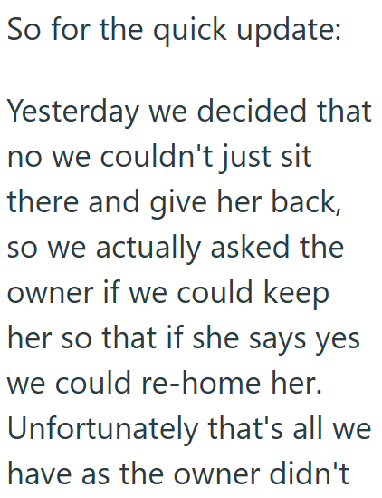 So for the quick update: Yesterday we decided that no we couldn't just sit there and give her back, so we actually asked the owner if we could keep her so that if she says yes we could re-home her. Unfortunately that's all we have as the owner didn't