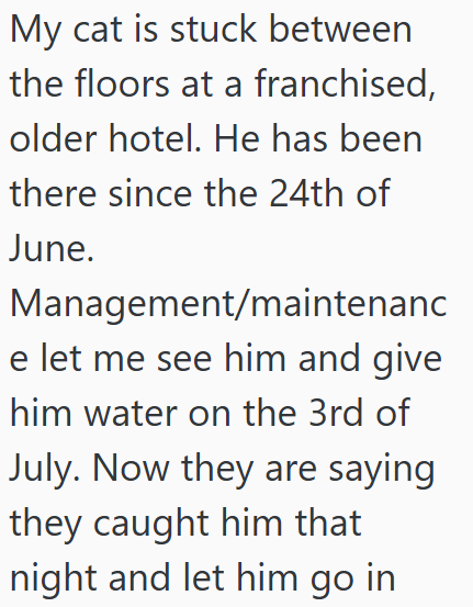 My cat is stuck between the floors at a franchised, older hotel. He has been there since the 24th of June. Management/maintenanc e let me see him and give him water on the 3rd of July. Now they are saying they caught him that night and let him go in