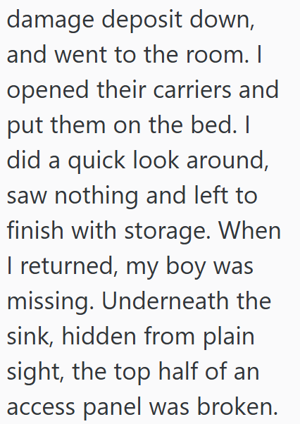 damage deposit down, and went to the room. I opened their carriers and put them on the bed. I did a quick look around, saw nothing and left to finish with storage. When I returned, my boy was missing. Underneath the sink, hidden from plain sight, the top half of an access panel was broken.