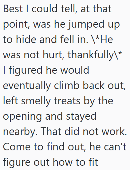 Best I could tell, at that point, was he jumped up to hide and fell in. \*He was not hurt, thankfully\* I figured he would eventually climb back out, left smelly treats by the opening and stayed nearby. That did not work. Come to find out, he can't figure out how to fit