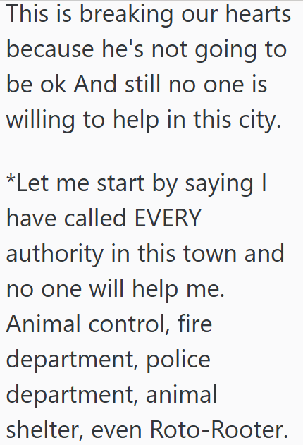 This is breaking our hearts because he's not going to be ok And still no one is willing to help in this city. *Let me start by saying I have called EVERY authority in this town and no one will help me. Animal control, fire department, police department, animal shelter, even Roto-Rooter.