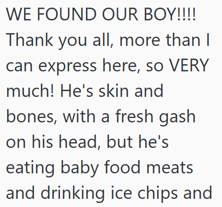 WE FOUND OUR BOY!!!! Thank you all, more than I can express here, so VERY much! He's skin and bones, with a fresh gash on his head, but he's eating baby food meats and drinking ice chips and