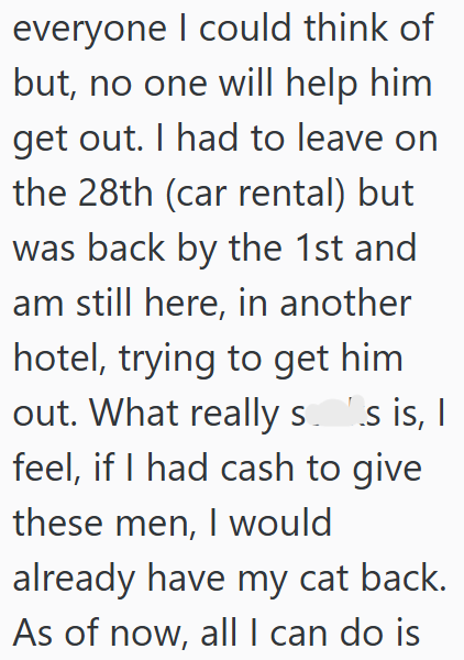 everyone I could think of but, no one will help him get out. I had to leave on the 28th (car rental) but was back by the 1st and am still here, in another hotel, trying to get him out. What really so's is, I feel, if I had cash to give these men, I would already have my cat back. As of now, all I can do is