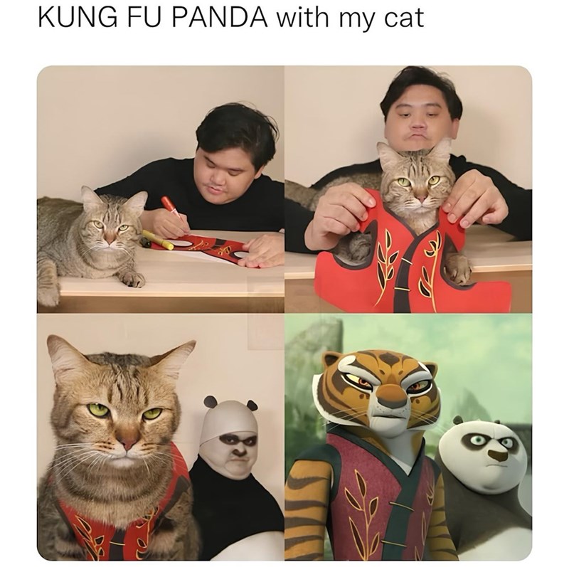 KUNG FU PANDA with my cat