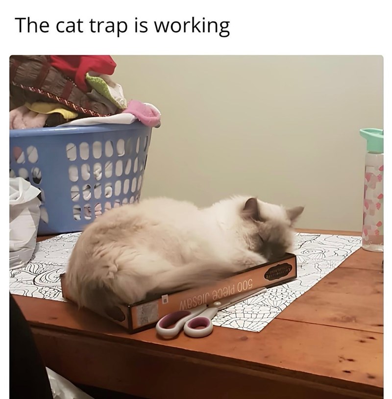 The cat trap is working 500 Piece JIGSAW