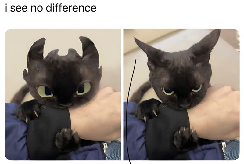 i see no difference