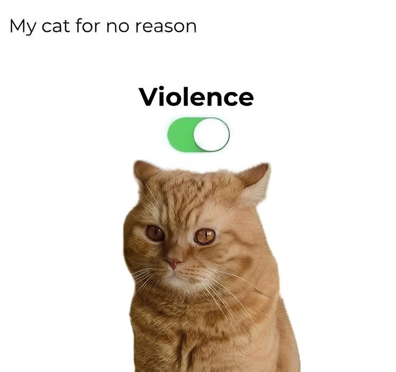 My cat for no reason. Violence