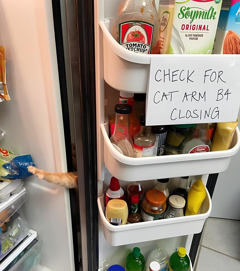 а Soymilk ORIGINAL 7) STY PAVCHD TOITLE TOMATO ETCHUP CHECK FOR CAT ARM BA CLOSING